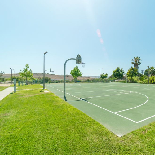 Basketball Court With Multiple Hoops