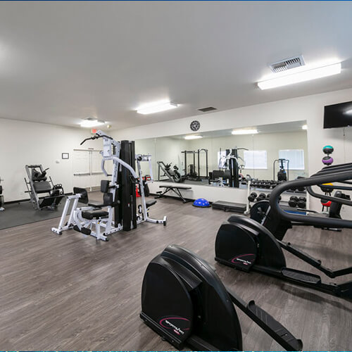 Indoor Gym With Multiple Cardio And Weight Machines